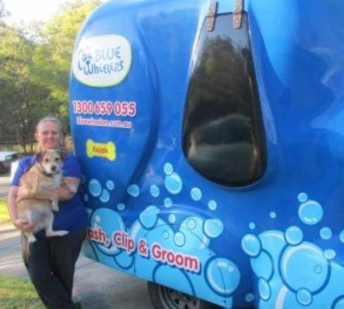 Mobile Dog Wash Near Me