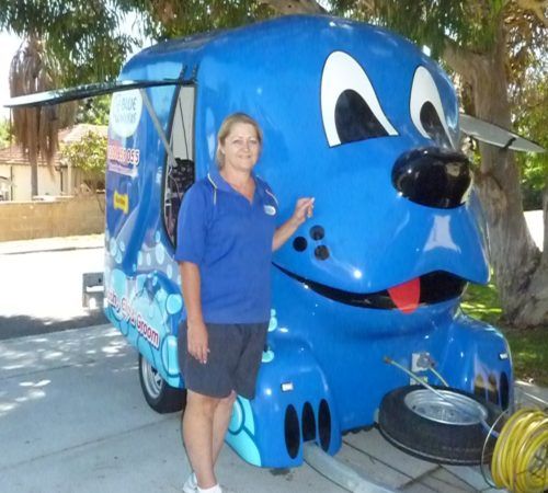 Mobile Dog Wash Near Me